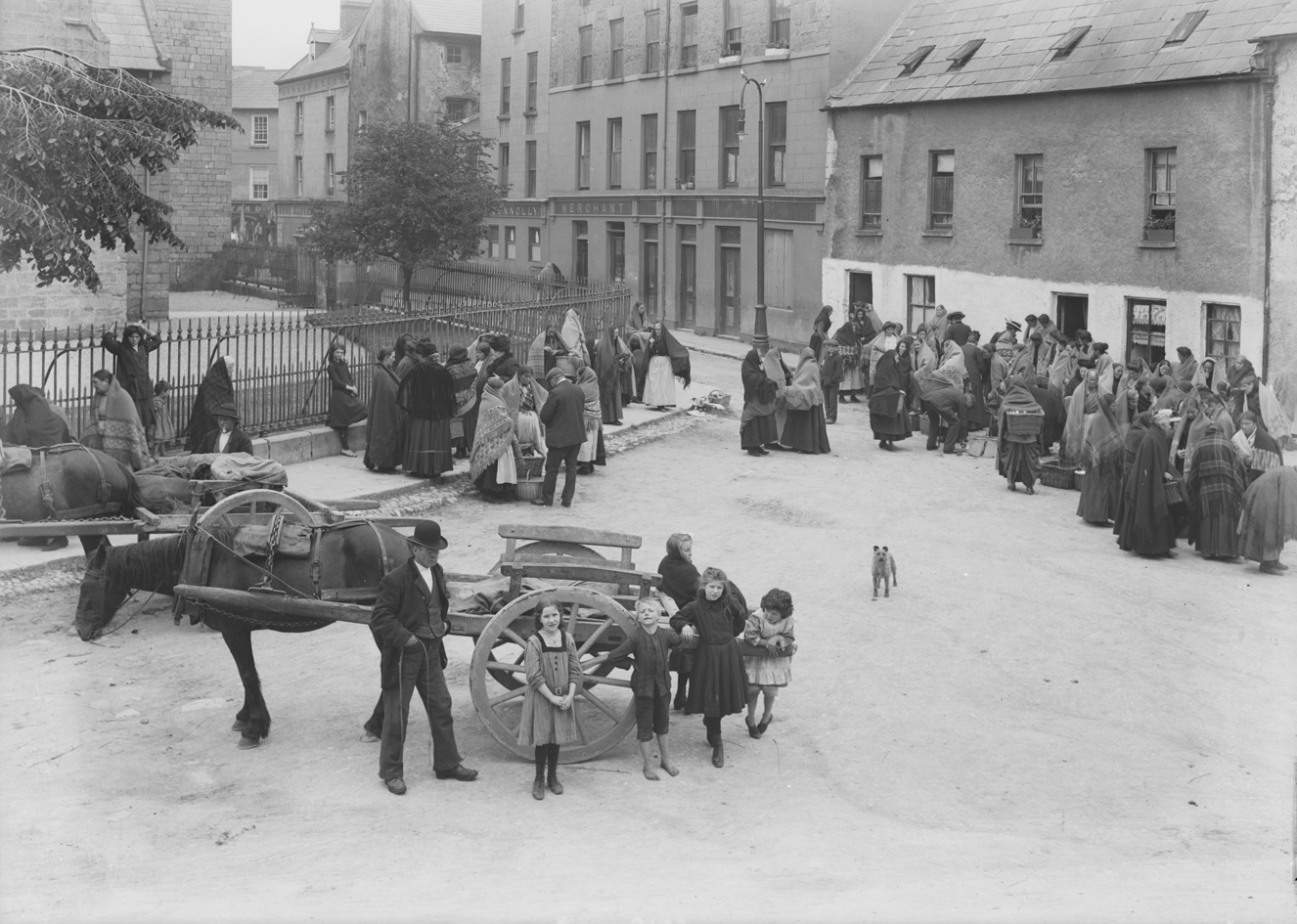 Galway yumurta ve kümes hayvanı pazarı — İrlanda yerel gıda geleneği