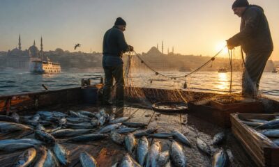 Haliç ve Boğaz'da tarihi lüfer avı ve geleneksel balıkçı tekneleri