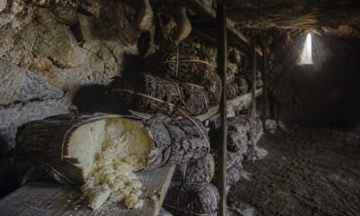 Çam Kabuğuna Sarılı Mahzende Olgunlaşan Kargı Tulum Peyniri